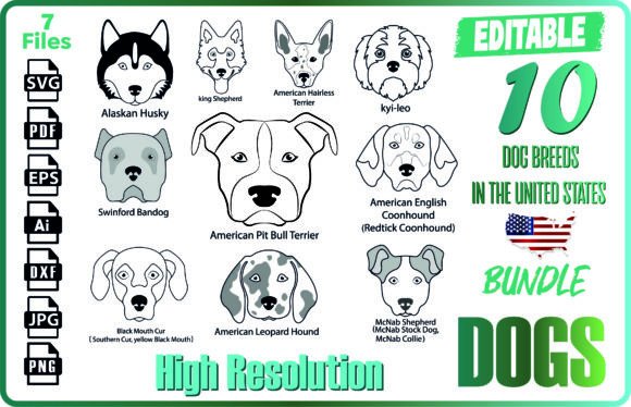 10 American Dog Breeds – A Designer’s Review for Real Embroidery Projects